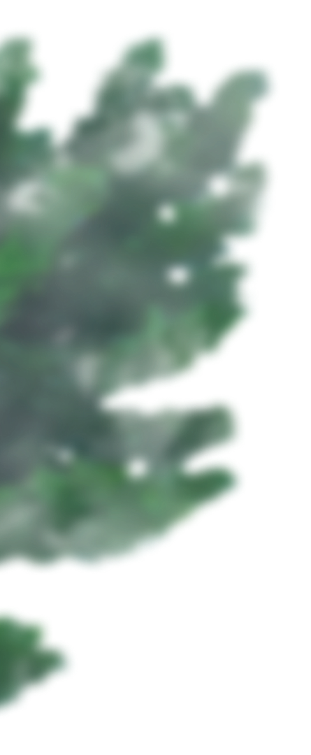 foliage