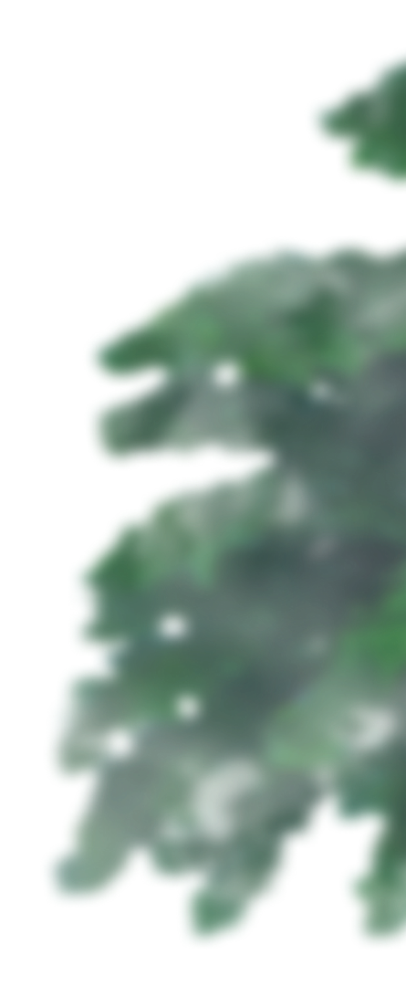 foliage