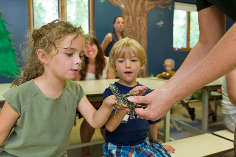 enfants regardant une tortue au Zoo Ecomuseum
